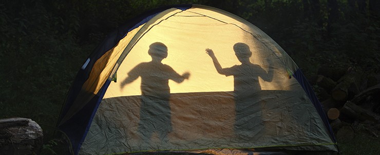 firefly flashlight game1
