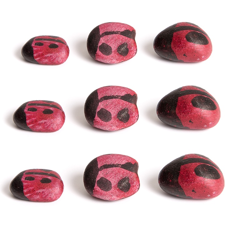Arts & Crafts Time: Painting Rocks